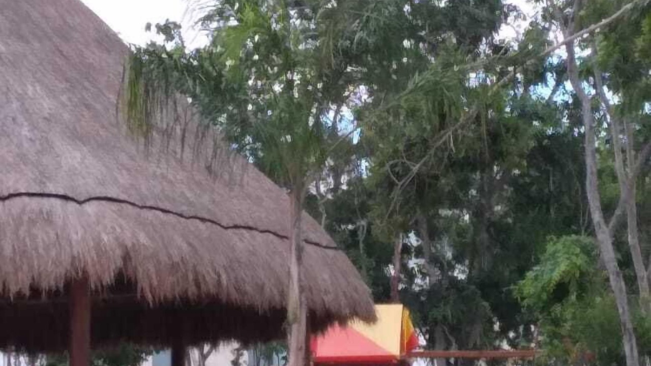 Photo of Outdoor in Playa del Carmen
