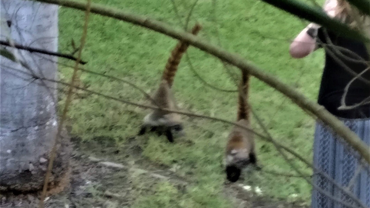 Photo of Outdoor in Villa Juarez