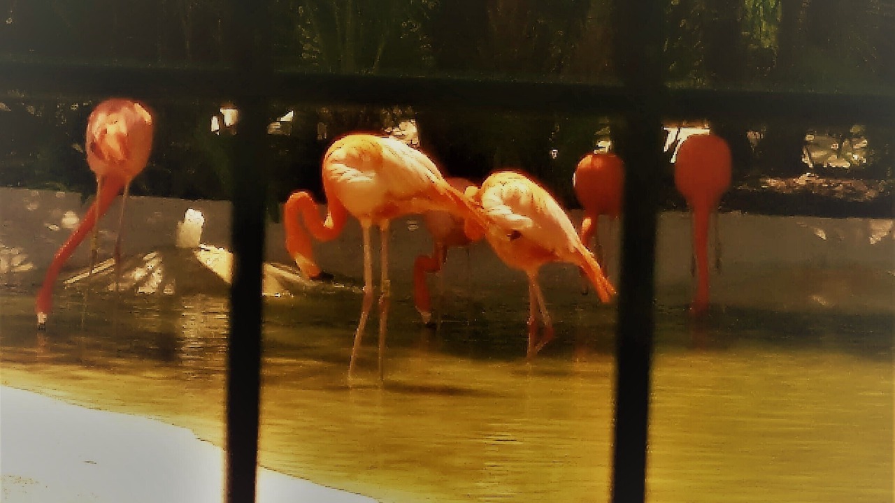 Photo of Others in Villa Juarez