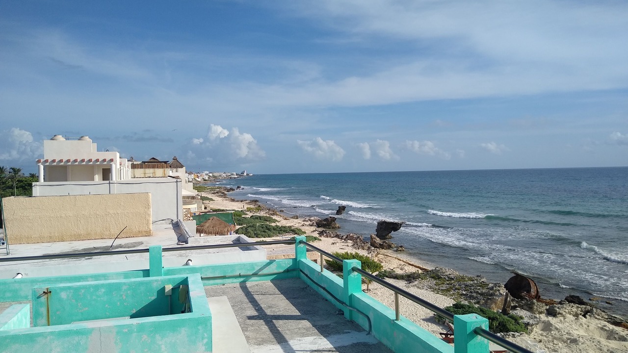 Photo of Others in Colonia Salina Chica
