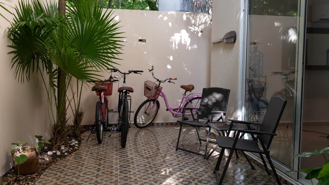 Photo of Others in Puerto Morelos