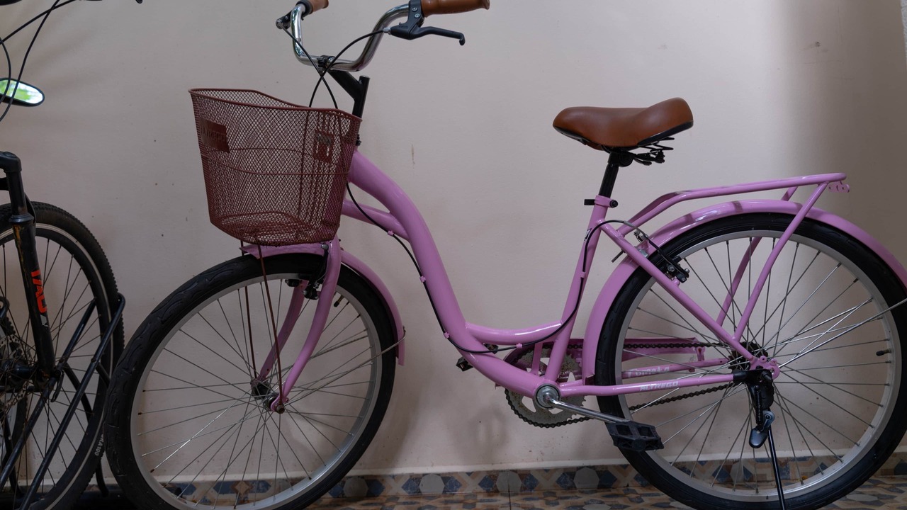 Photo of Others in Puerto Morelos