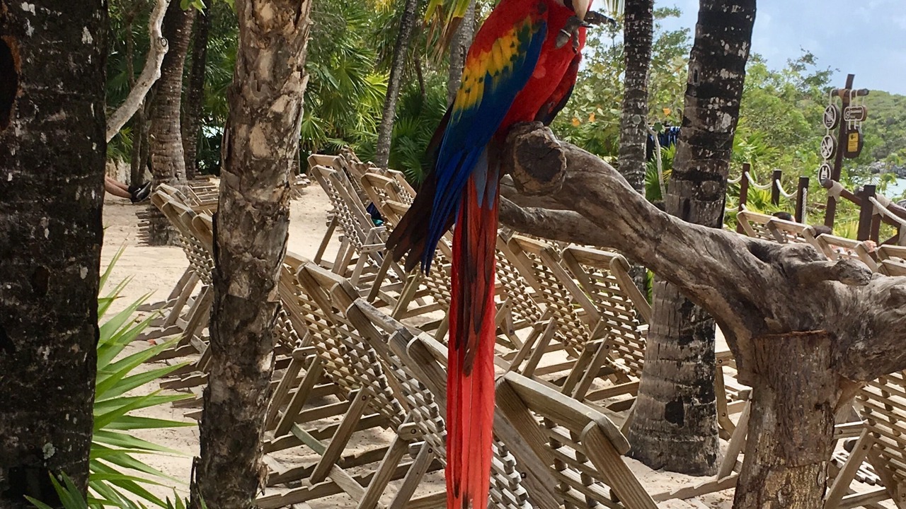 Photo of Outdoor in Mayakoba