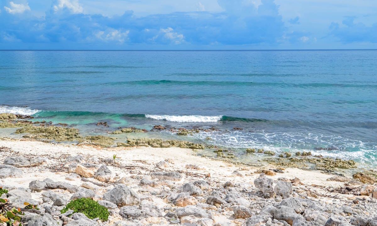 Photo of Others in Akumal