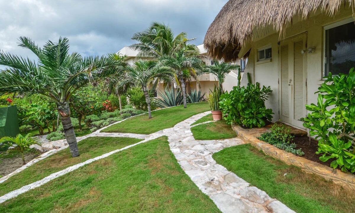 Photo of Outdoor in Akumal