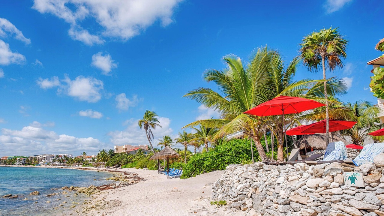 Photo of Others in Akumal