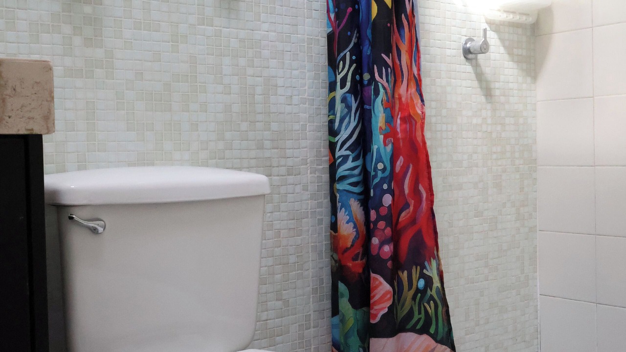 Photo of Bathroom in Luis Donaldo Colosio