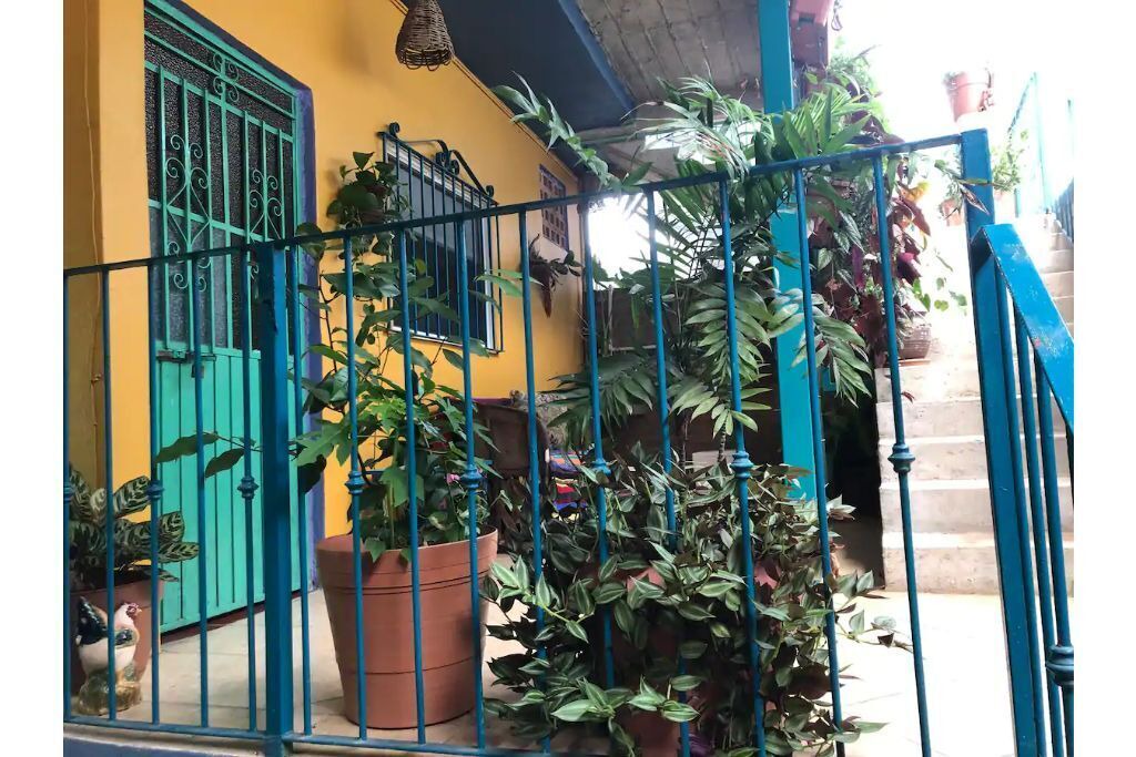 Photo of Outdoor in Boca de Tomatlan