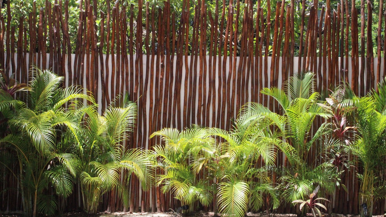 Photo of Outdoor in Zama