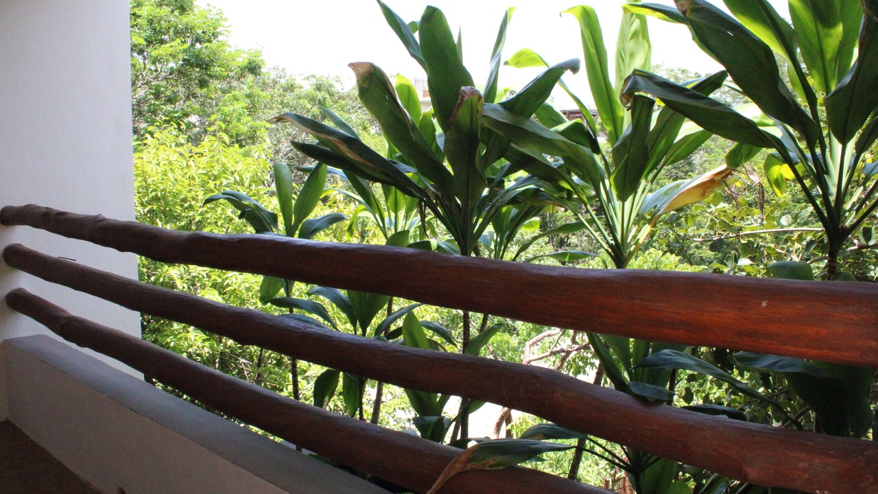 Photo of Outdoor in Zama