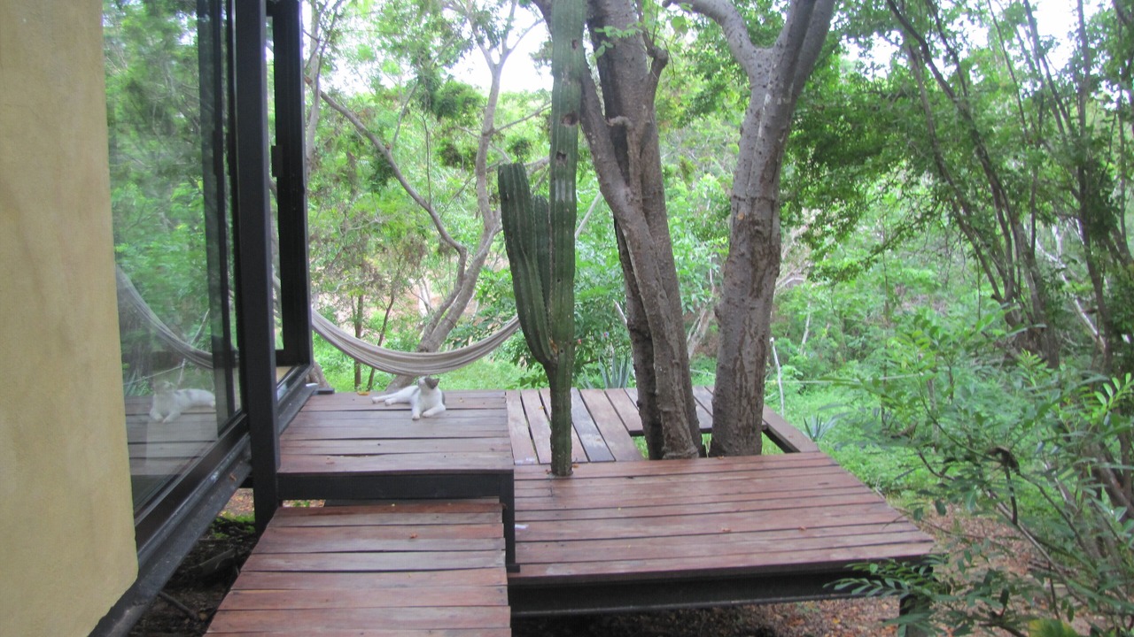 Photo of Patio Balcony in Salchi