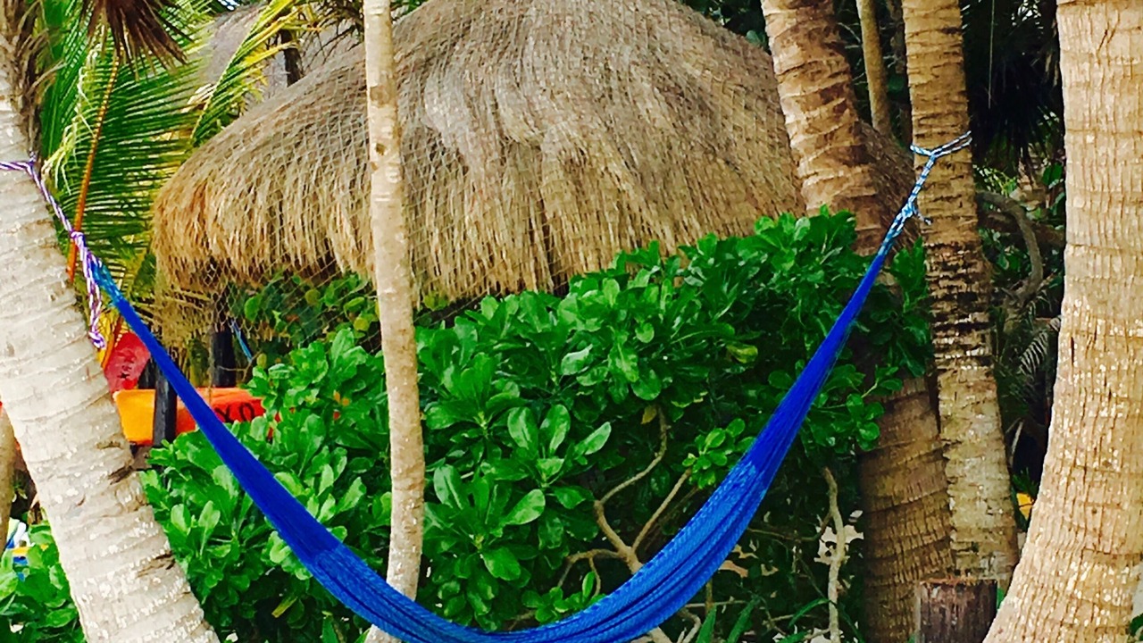 Photo of Others in Soliman Bay