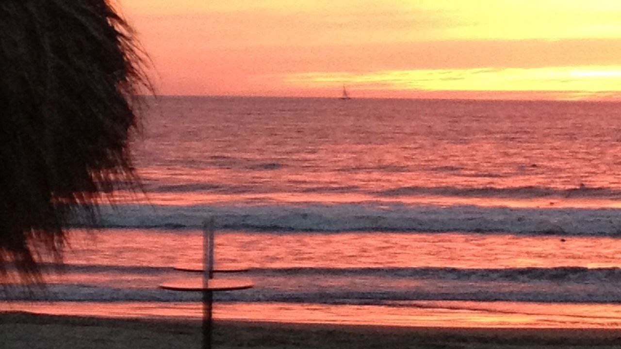 Photo of Others in Nuevo Vallarta