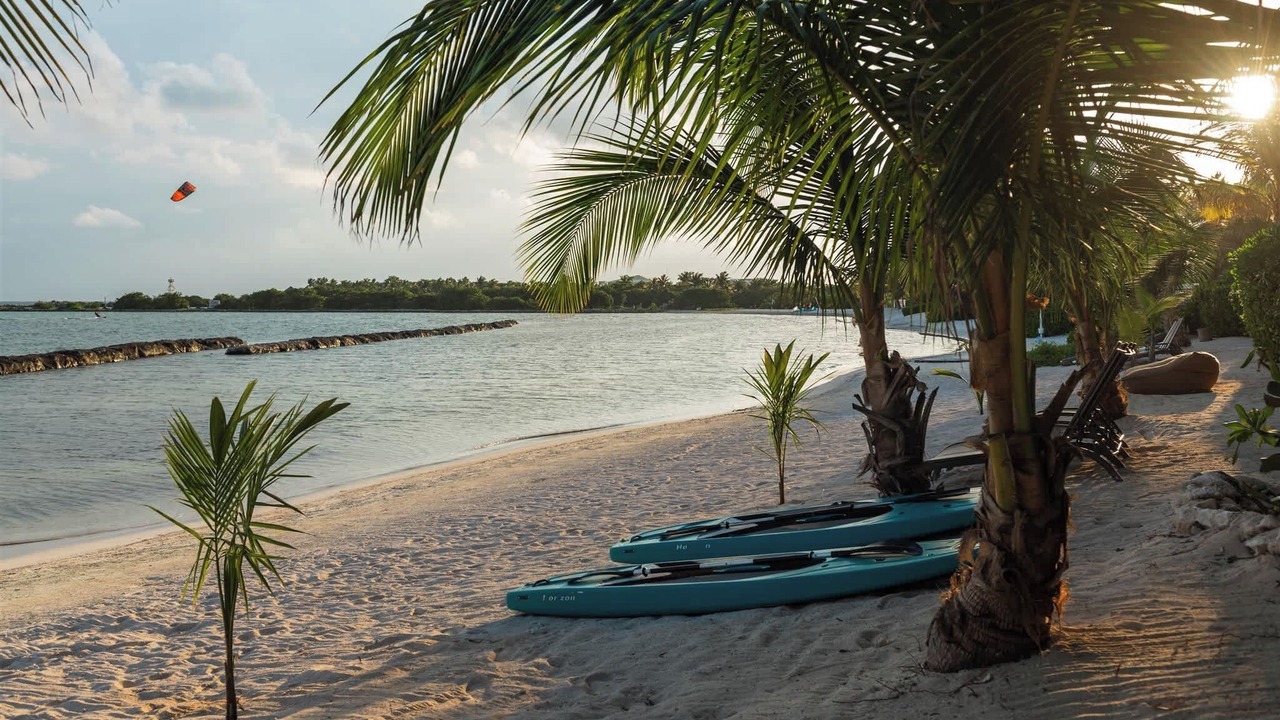 Photo of Others in Puerto Aventuras