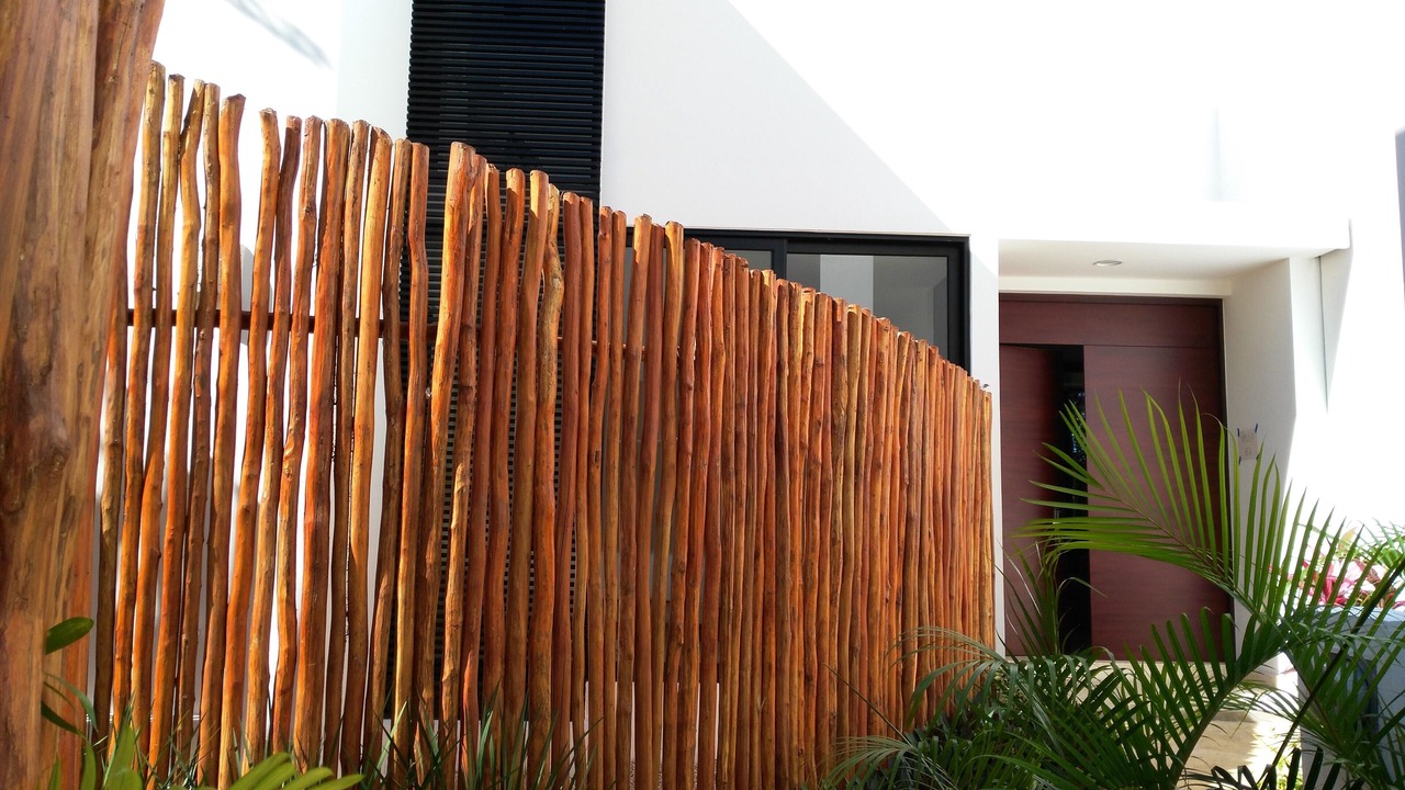 Photo of Others in Akumal