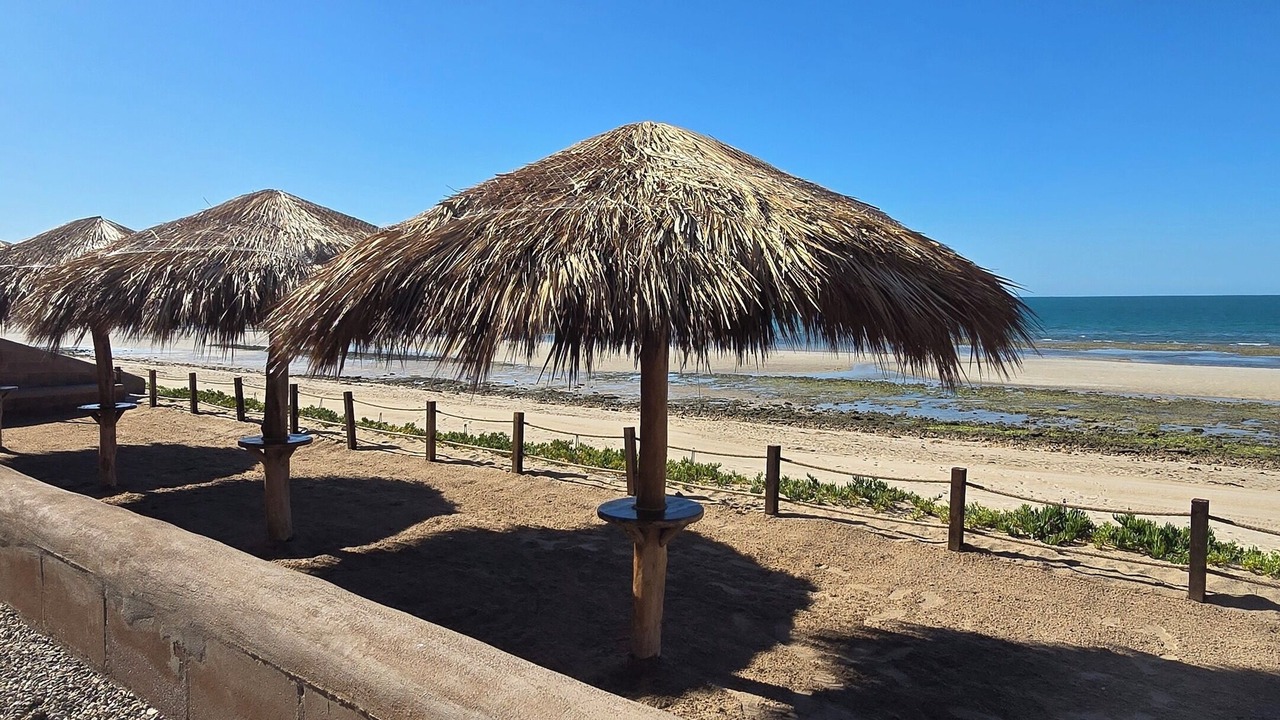 Photo of Others in Puerto Penasco