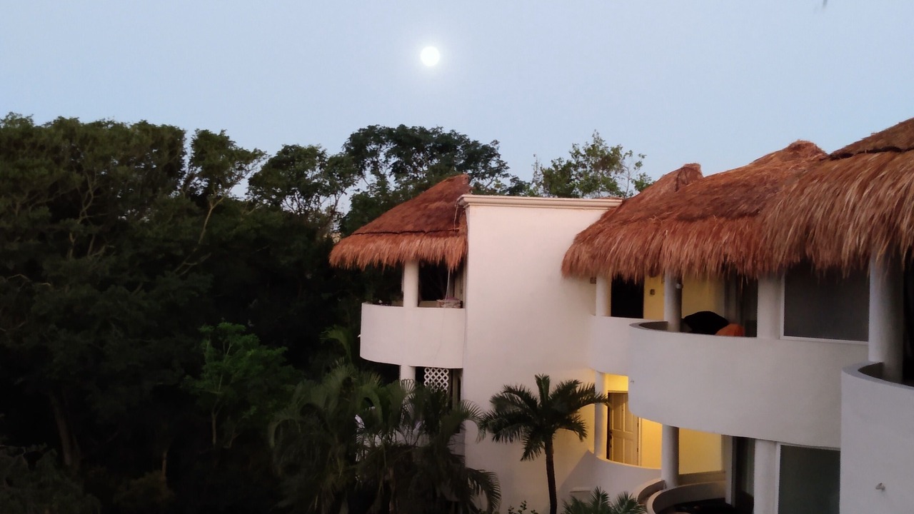 Photo of Patio Balcony in Playacar