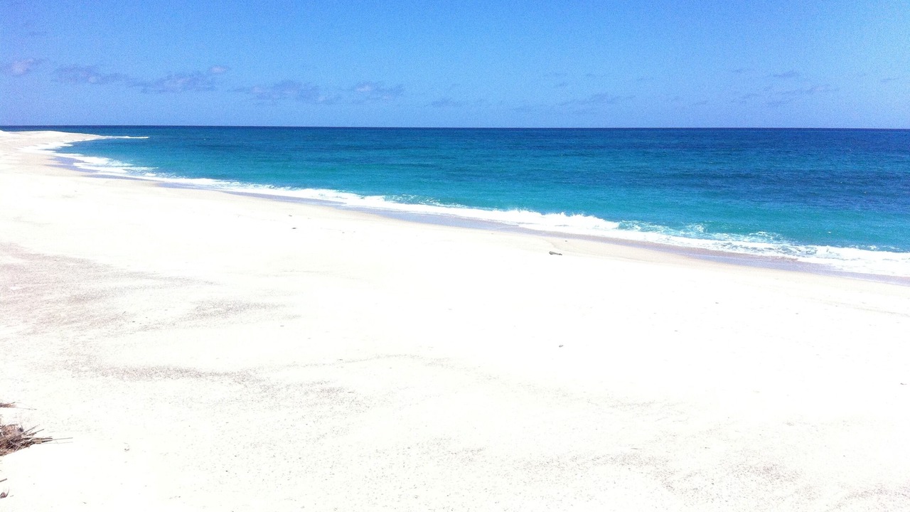 Photo of Others in Los Cabos