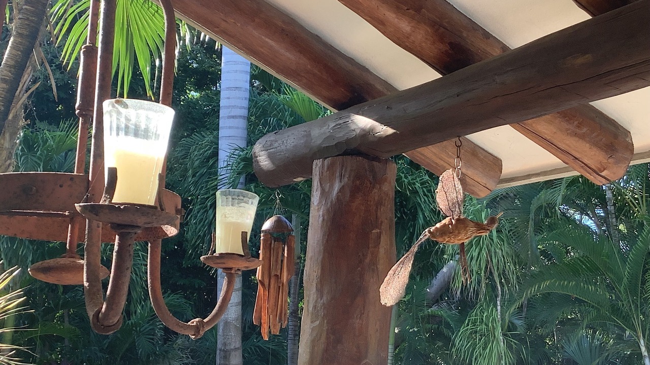 Photo of Outdoor in Playacar