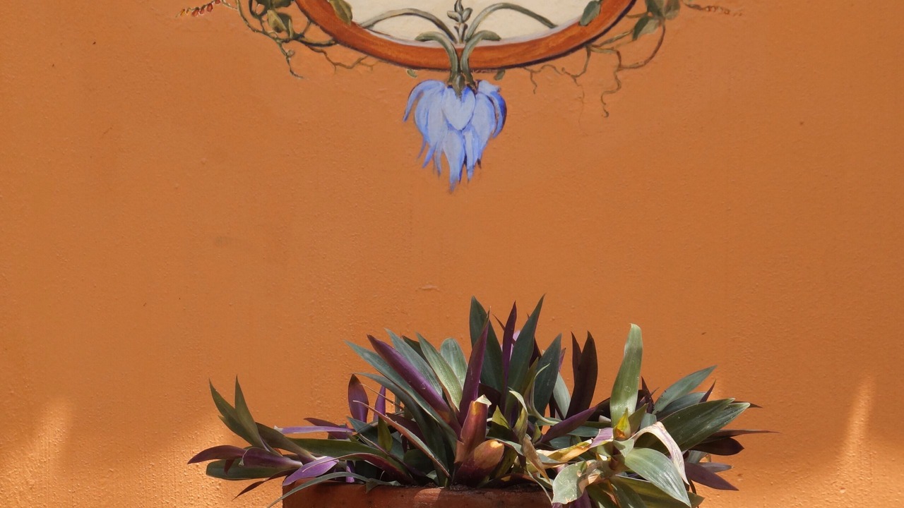 Photo of Outdoor in San Francisco