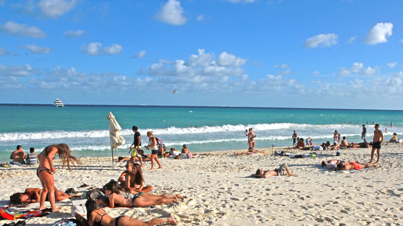 Photo of Others in Playacar Fase I