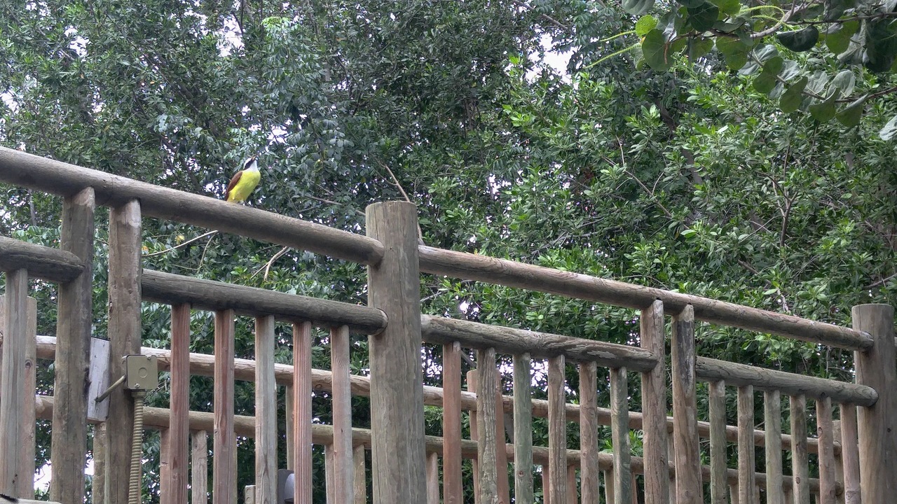 Photo of Outdoor in Villa Juarez