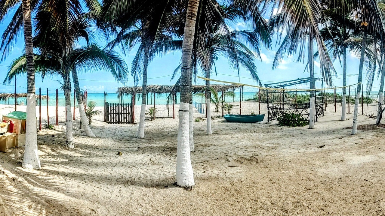 Photo of Others in Sisal