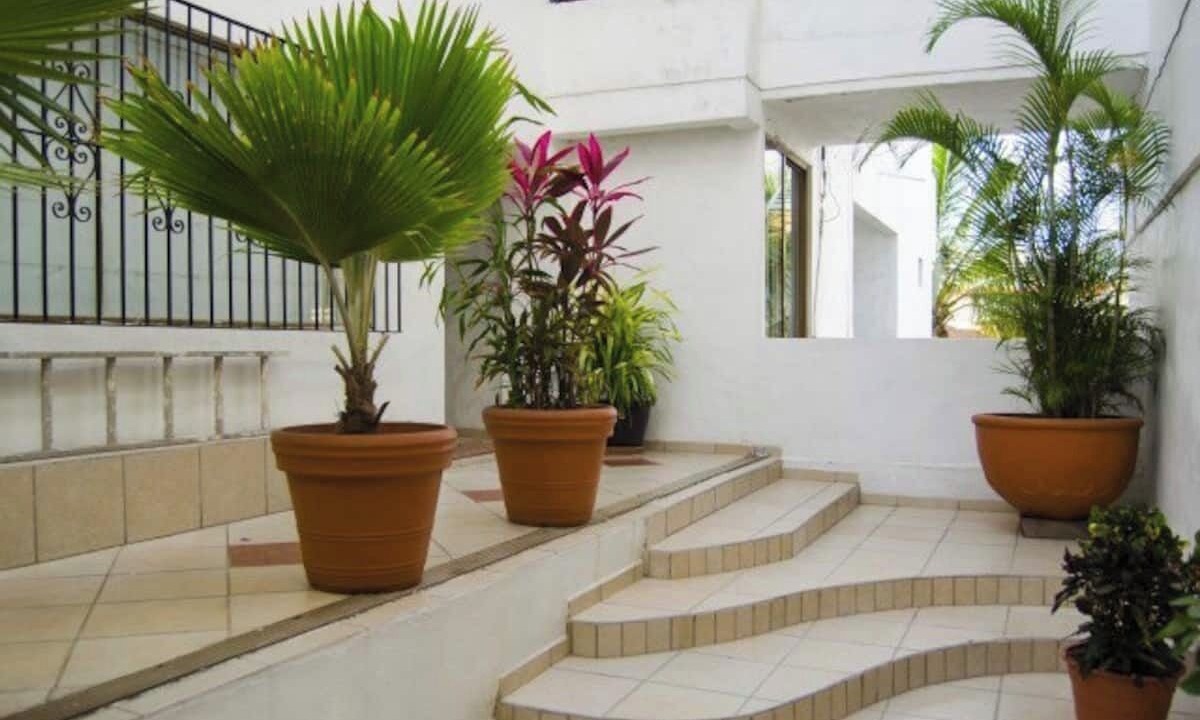 Photo of Outdoor in Downtown Puerto Vallarta