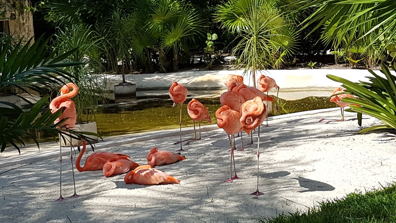 Photo of Outdoor in Villa Juarez