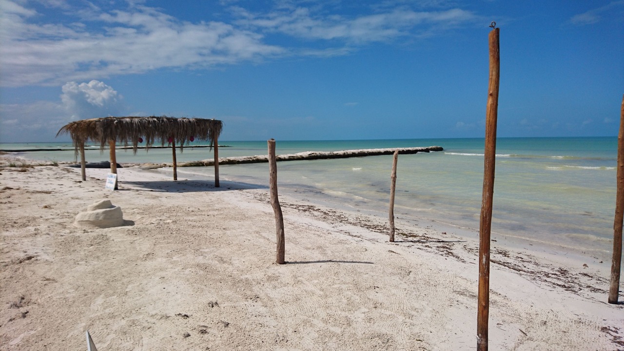 Photo of Others in Isla Holbox