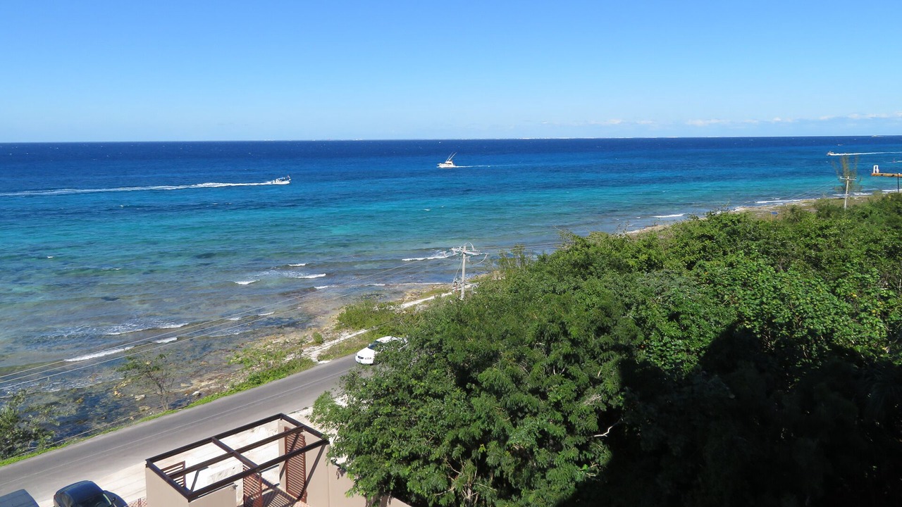 Photo of Others in Cozumel