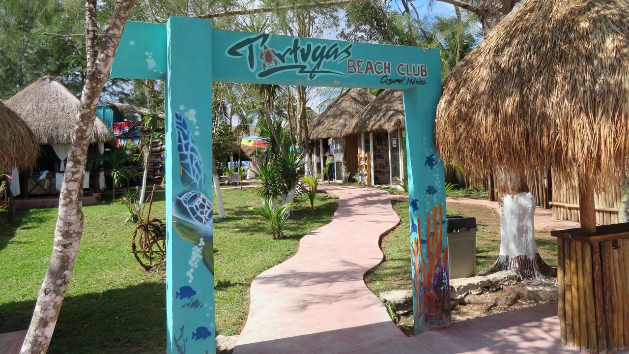 Photo of Others in Cozumel