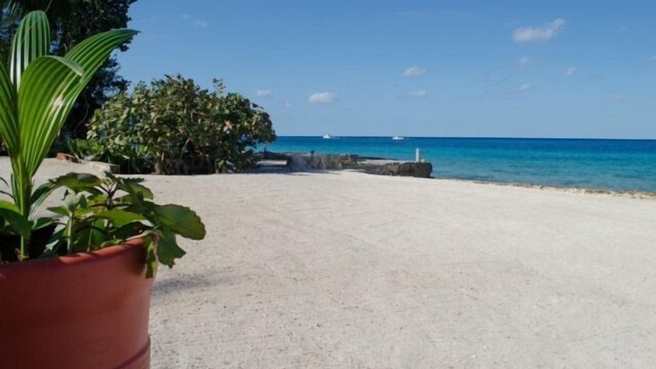 Photo of Others in Cozumel