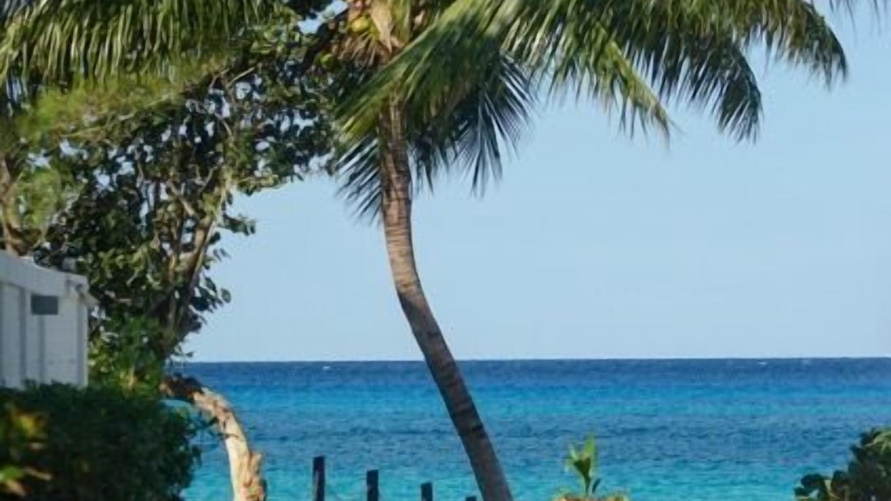 Photo of Others in Cozumel
