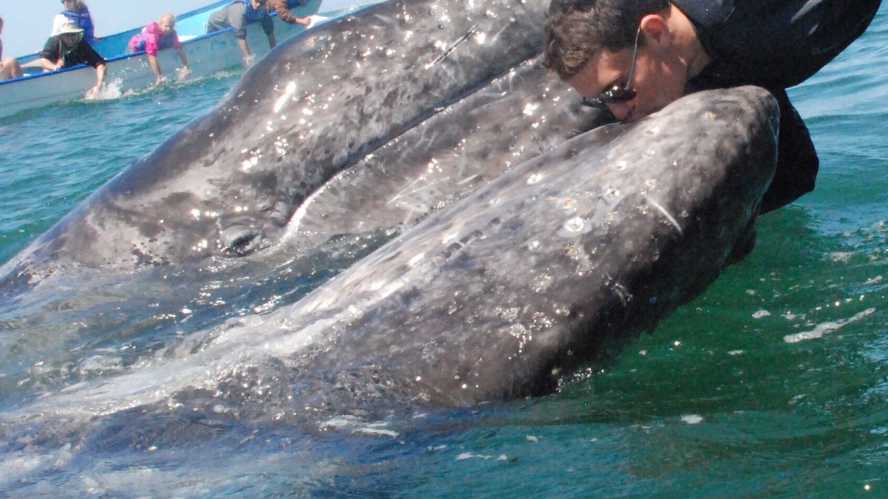 Photo of Others in Rosarito