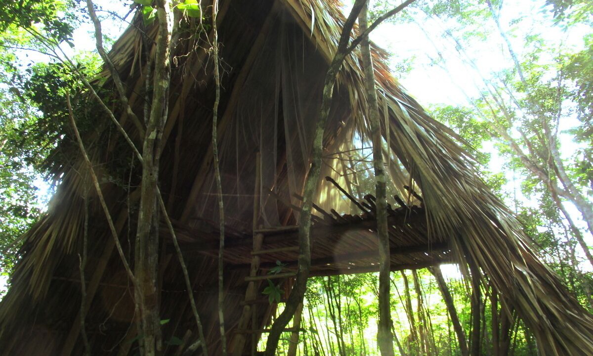 Photo of Others in Macario Gomez