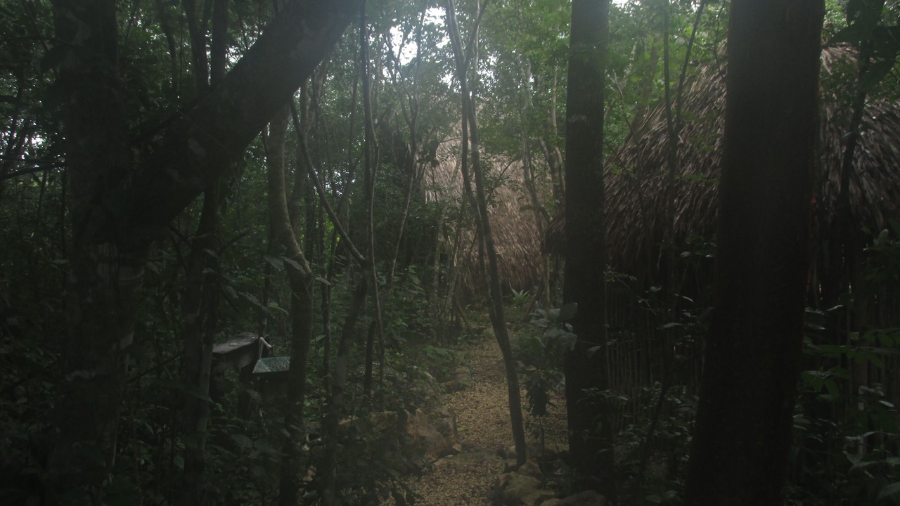 Photo of Outdoor in Macario Gomez