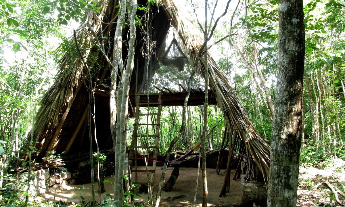 Photo of Outdoor in Macario Gomez