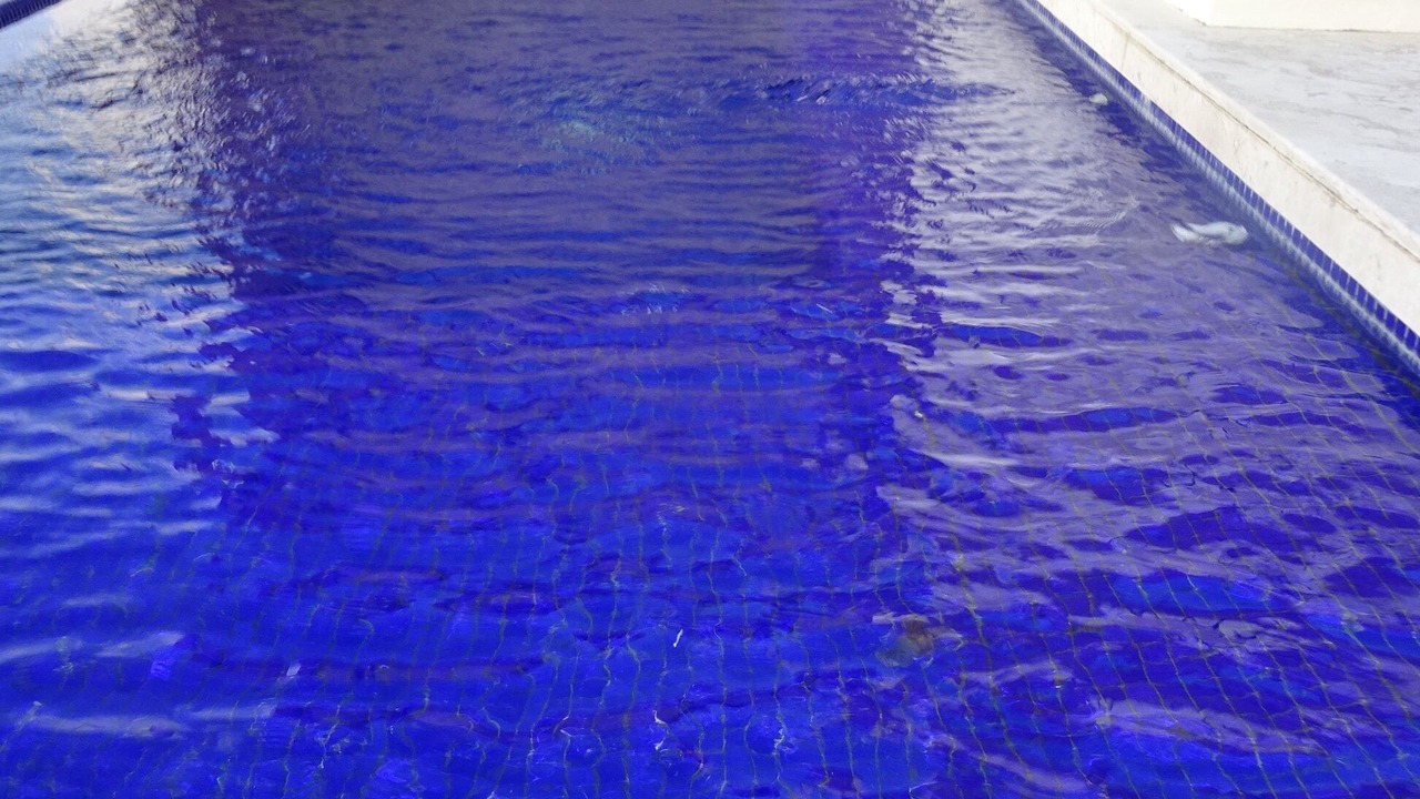 Photo of Outdoor in Downtown Puerto Vallarta