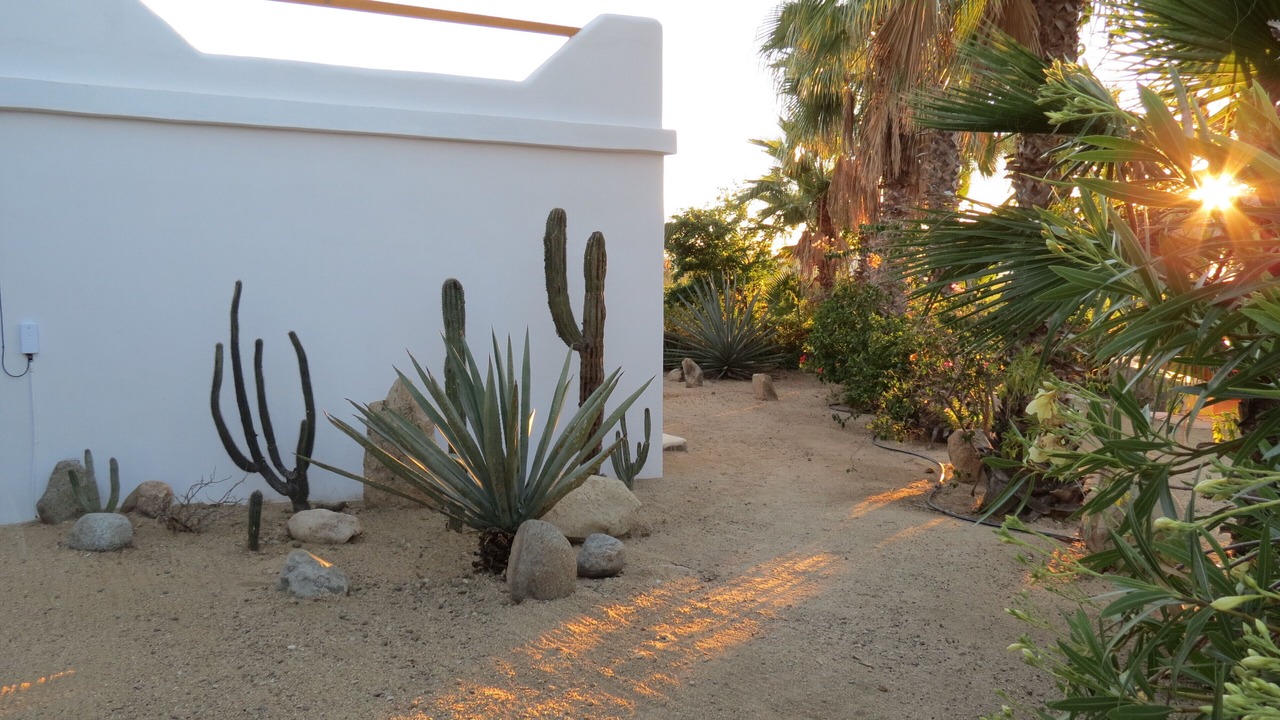 Photo of Outdoor in Todos Santos