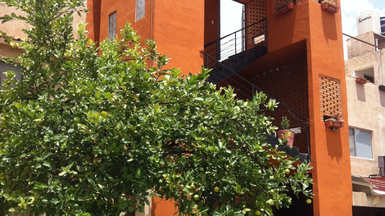 Photo of Outdoor in San Luis Potosi