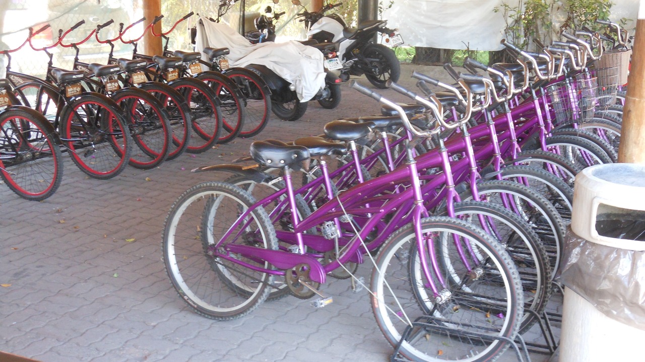 Photo of Outdoor in Nuevo Vallarta