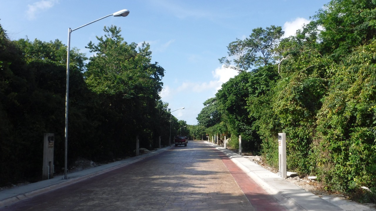 Photo of Others in Puerto Morelos