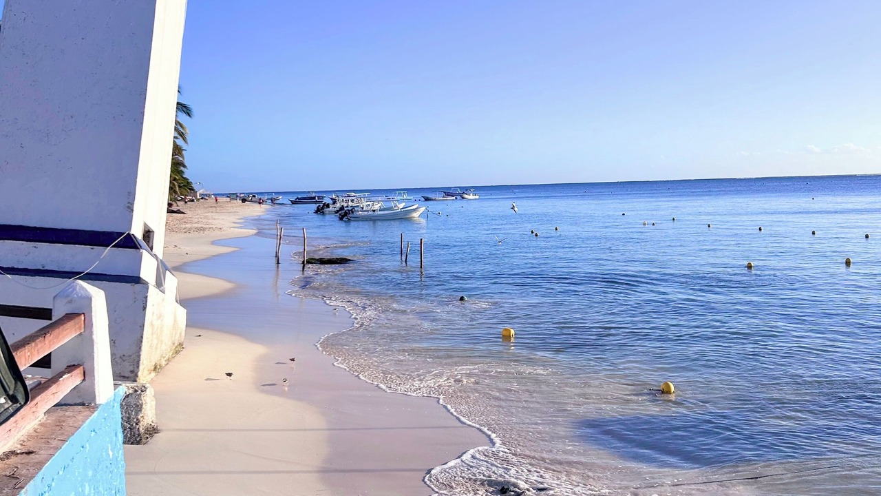 Photo of Others in Puerto Morelos