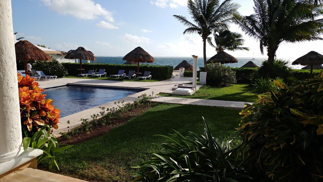 Photo of Others in Puerto Morelos