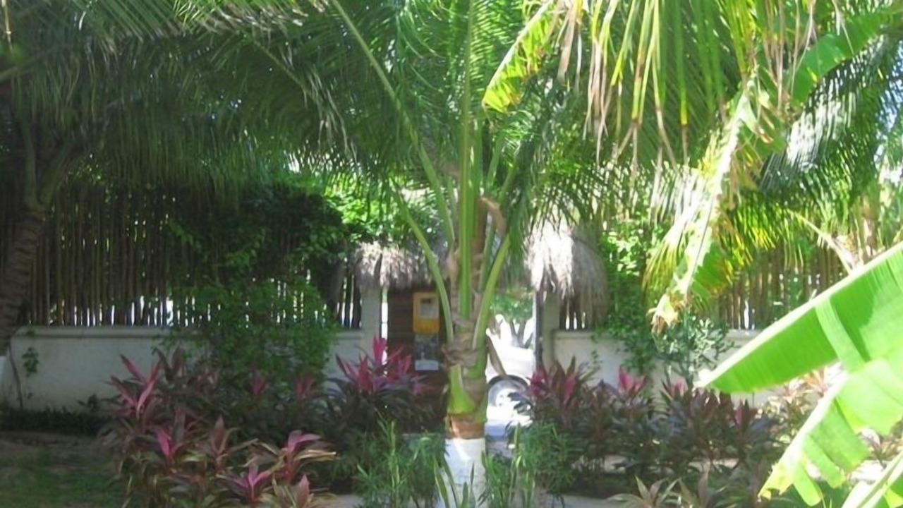 Photo of Others in Puerto Morelos