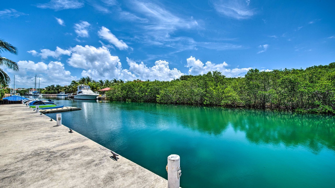 Photo of Others in Puerto Aventuras