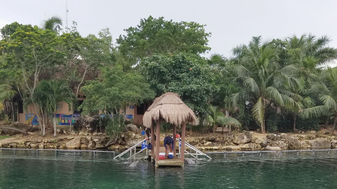 Photo of Others in Puerto Aventuras