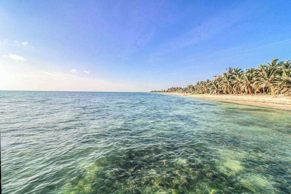 Photo of Others in Soliman Bay