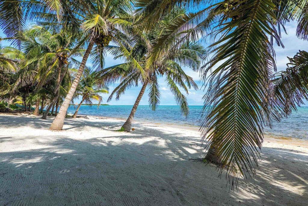 Photo of Others in Soliman Bay